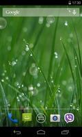 Grass Live Wallpaper 포스터