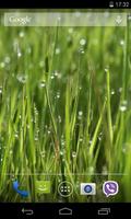 Grass Live Wallpaper ภาพหน้าจอ 2