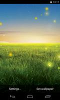 Fireflies Live Wallpaper poster