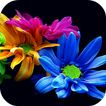 Flowers Live Wallpaper