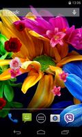 Flores Planos de fundo on-line Cartaz