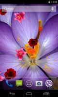 Flowers Live Wallpaper اسکرین شاٹ 1