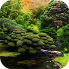 Koi Zen Garden Live Wallpaper أيقونة