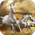 Horses Live Wallpaper icône