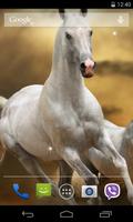 Horses Live Wallpaper 海报