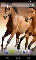 1 Schermata Horses Live Wallpaper