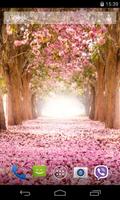 Sakura Live Wallpaper اسکرین شاٹ 3