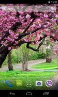 Sakura Live Wallpaper اسکرین شاٹ 1