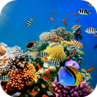 Sea Life Live Wallpaper ikona