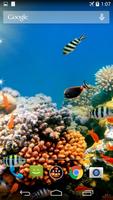 Sea Life Live Wallpaper plakat