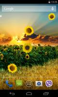 Sunflower Live Wallpaper Affiche