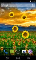Sunflower Live Wallpaper Ekran Görüntüsü 2