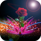 Rose Live Wallpaper icono