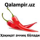 Qalampir.uz "Ҳақиқат аччиқ бўлади" (норасмий) icône