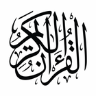 Quran 16 Line Revision Helper icon