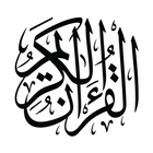 Quran 16 Line Revision Helper icône
