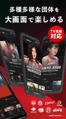 WRESTLE UNIVERSE - プロレス動画見放題！ アプリダウンロード