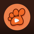 ”Mp3 Paw Music