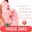 Voice SMS, Voice to text SMS,  APK