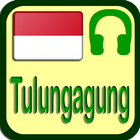 Tulungagung Radio Station icône