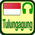 Tulungagung Radio Station simgesi