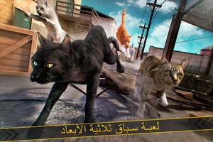 لعبة القطط . محاكي الاليفة 16 الملصق