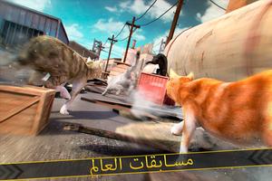 لعبة القطط . محاكي الاليفة 16 تصوير الشاشة 1