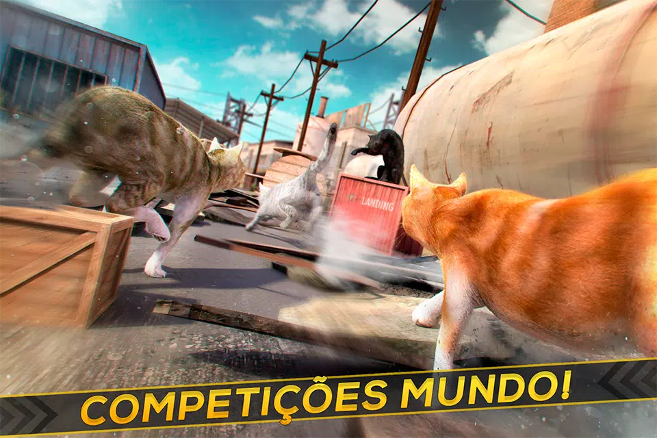 Download do APK de Jogo gatinho para gato grávido para Android