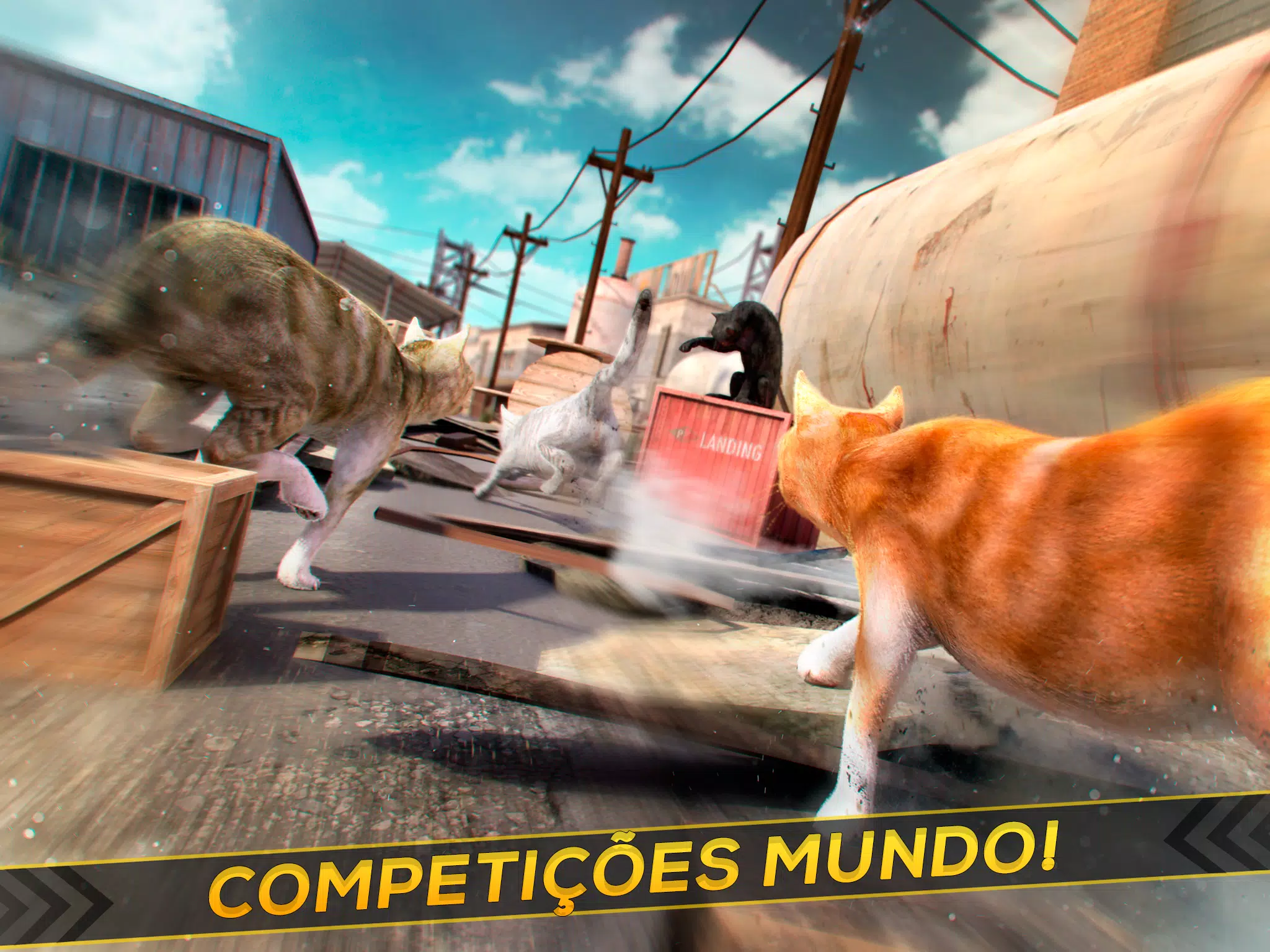 Jogos de Gatos: Jogar grátis online no Reludi