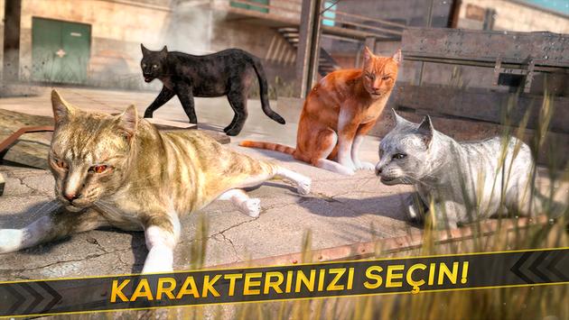 android icin kedi 3d oyunlari simulator