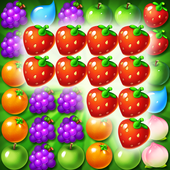 fruit harvest time icon