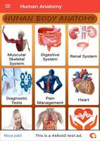 Human Anatomy Plakat