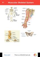 Human Anatomy capture d'écran 3