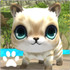 PAWS APK