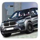 X5 Drift Simulator Zeichen