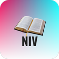 Holy Bible NIV