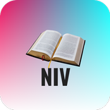 Holy Bible NIV