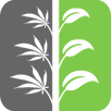X19 APK