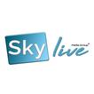 Skylive Media Group