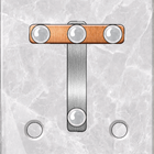 Icona Screw Puzzle
