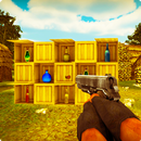 Fles Shoot Game New Gun 2017-APK