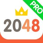 2048 Challenge! icône