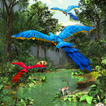 3D Rainforest Live Wallpaper