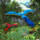 3D Rainforest Live Wallpaper APK