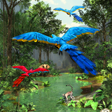 3D Rainforest biểu tượng