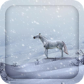 3D White Horse Live Wallpaper