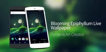 Cactus Flower Live Wallpaper