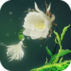 download Cactus Flower Live Wallpaper APK