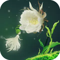 幽雅白色曇花與精靈動態桌布 APK 下載