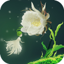 Cactus Flower Live Wallpaper APK